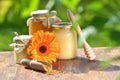 Jars full of delicious honey and bee pollen Royalty Free Stock Photo
