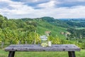 Jars with grapes and candle on wooden bench near vineyard along Royalty Free Stock Photo