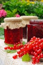 Jars of homemade red currant jam with fresh fruits Royalty Free Stock Photo