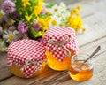 Jars of honey and healing herbs. Herbal medicine and nutraceuticals. Royalty Free Stock Photo