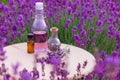 jars with lavender oil, lavender flowers, on the background of a lavender field Royalty Free Stock Photo