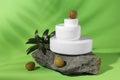 Jars of natural cream, stone and olives on light green background. Cosmetic products Royalty Free Stock Photo