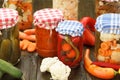 Jars Of Organic Pickled Vegetables