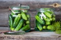 Jars of pickled marinated cucumbers on rustic table