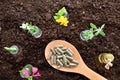 Jars with plants inside and spoon with capsules on soil