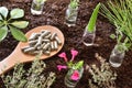 Jars with plants and spoon with capsules on soil elevated