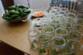 Glasses ready to handle cucumbers