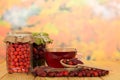 Jars with rowan berries, rose hips, tea on autumn leaves. Royalty Free Stock Photo