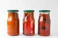 Jars with tasty pickled food on background