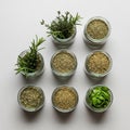 Jars are uniformly sized creating an organized and visually appealing Royalty Free Stock Photo