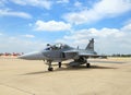 JAS 39 Gripen on show