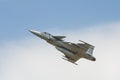 JAS 39 Gripen Royalty Free Stock Photo