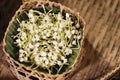 Jasmine in the basket, Arabian jasmine flowers for handmade garland, Jasmine material for handmade garland.