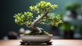 Jasmine Bonsai Tree: Nature-inspired Imagery For Desktop Wallpaper