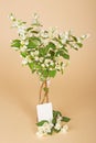 Jasmine bouquet in a glass vase