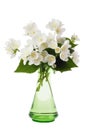 Jasmine bouquet in the vase