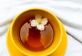 Jasmine dry green tea leaves with fresh jasmine flowers and cup of tea on white background. Royalty Free Stock Photo