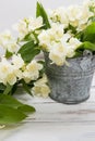 Jasmine dry green tea leaves with jasmine flowers on white background. Royalty Free Stock Photo