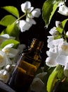 Jasmine essential oil