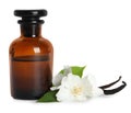 Jasmine essential oil, fresh flowers and vanilla sticks on white background Royalty Free Stock Photo