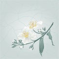 Jasmine flower and buds on a blue background cracks in the porcelain place for text vintage vector illustration editable