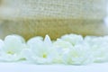 Jasmine flower in burlap bag on white background,select focus. Royalty Free Stock Photo