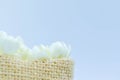 Jasmine flower in burlap bag on white background,select focus. Royalty Free Stock Photo