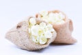 Jasmine flower in burlap bag on white background,select focus. Royalty Free Stock Photo