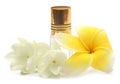 Jasmine flower and frangipani with perfume bottle Royalty Free Stock Photo