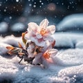 Jasmine flower in the snow, winter time, sunrise hou Royalty Free Stock Photo