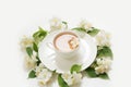Jasmine flowers around cup of green tea on white background. Top view and concept. Royalty Free Stock Photo