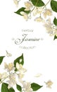 Jasmine flowers banner