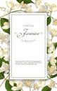 Jasmine flowers banner