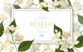 Jasmine flowers banner