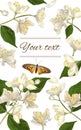 Jasmine flowers banner