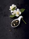 Jasmine flowers and green tea  on a black background. Herbal medicine Royalty Free Stock Photo