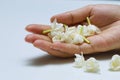 Jasmine flowers in hands of young mother and kid on white background, all ages of Thai people always give or present jasmine