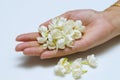 Jasmine flowers in hands of young mother and kid on white background, all ages of Thai people always give or present jasmine