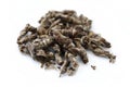 Jasmine green tea Royalty Free Stock Photo