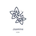 Jasmine icon from nature outline collection. Thin line jasmine icon isolated on white background