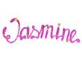 Jasmine name lettering tinsels