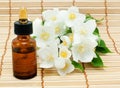 Jasmine oil Royalty Free Stock Photo