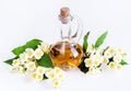 Jasmine oil, flowers Royalty Free Stock Photo