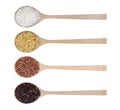 Jasmine rice, Brown rice, Red rice, and Riceberry in wooden spoons top view isolated on white background clipping path incuded Royalty Free Stock Photo