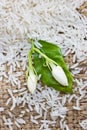 Jasmine Rice rice grian and jasmine flower on wood Royalty Free Stock Photo