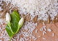 Jasmine Rice rice grian on wood background Royalty Free Stock Photo