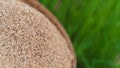 Jasmine rice seeds in bamboo basket with green rice plant field