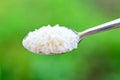Jasmine rice on spoon over green background