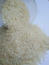 Jasmine rice and white background inThailand