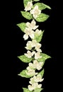 Jasmine seamless decor element in vertical branch